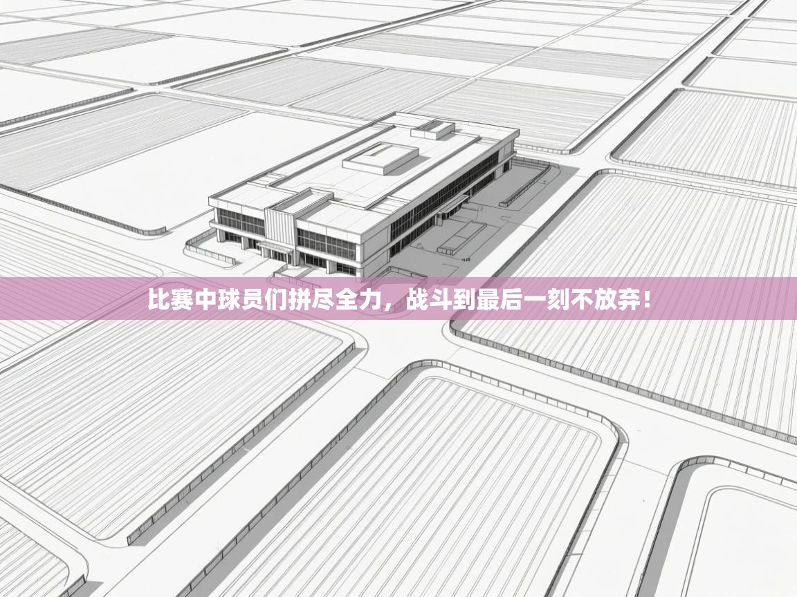 比赛中球员们拼尽全力，战斗到最后一刻不放弃！  第1张