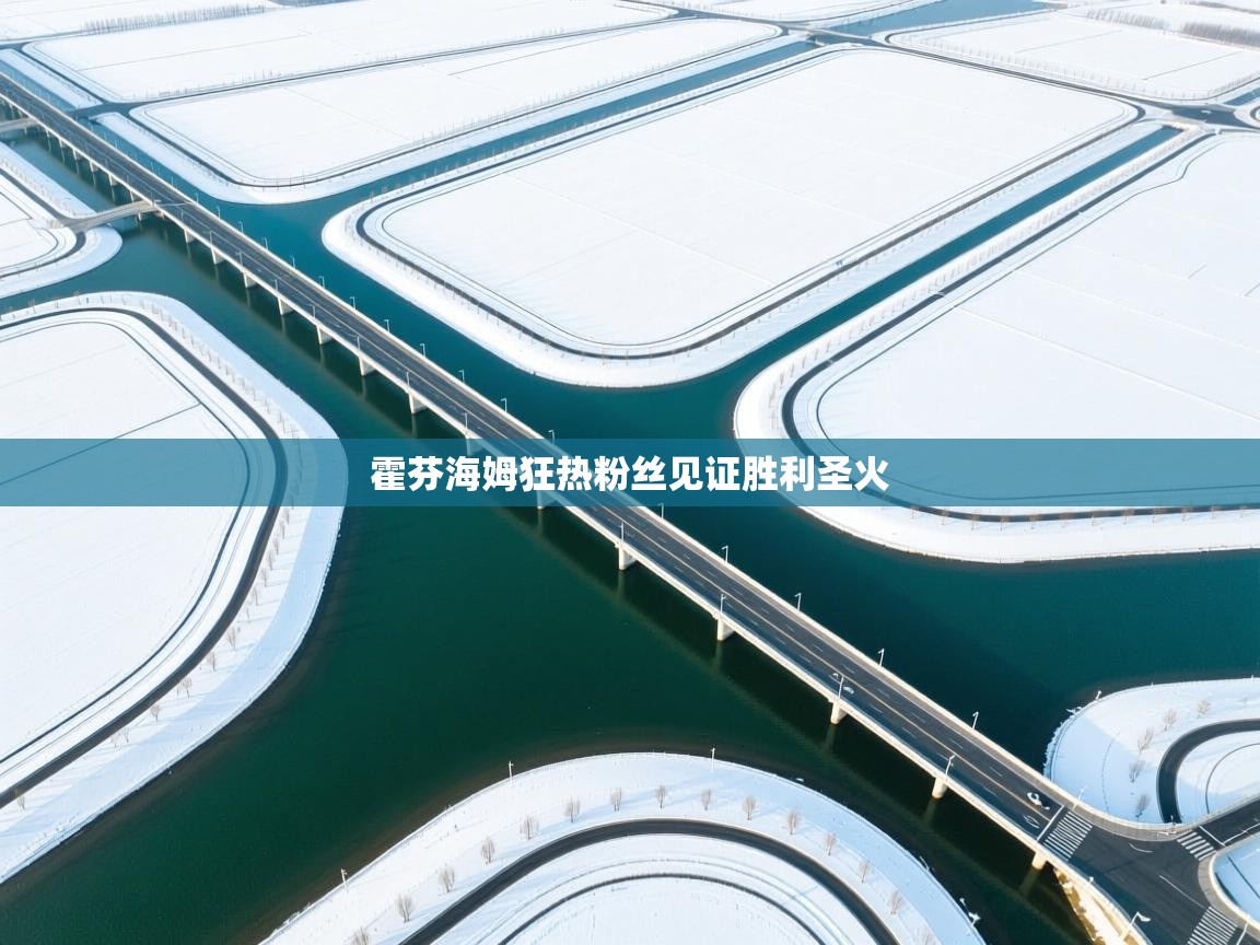 霍芬海姆狂热粉丝见证胜利圣火  第2张