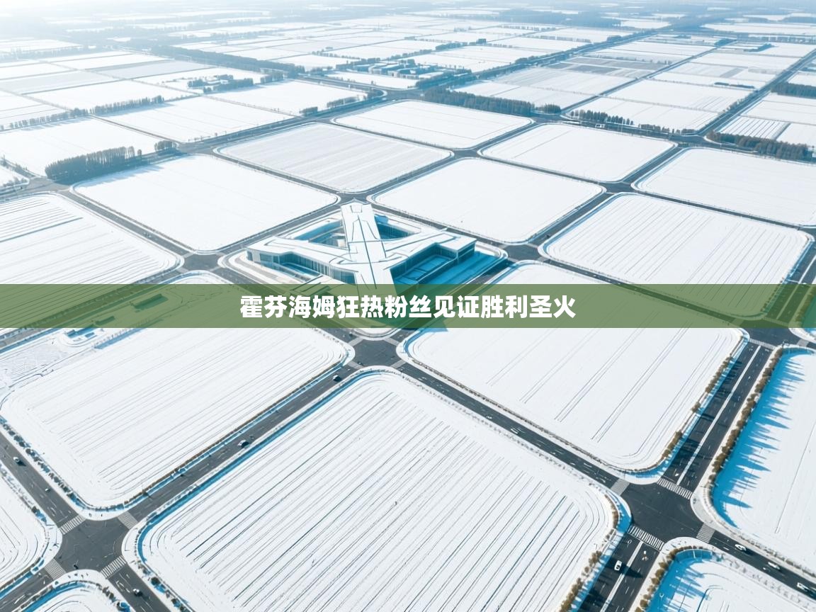 霍芬海姆狂热粉丝见证胜利圣火  第1张